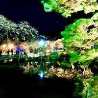 【京都】路地行灯に浮かび上がる古都