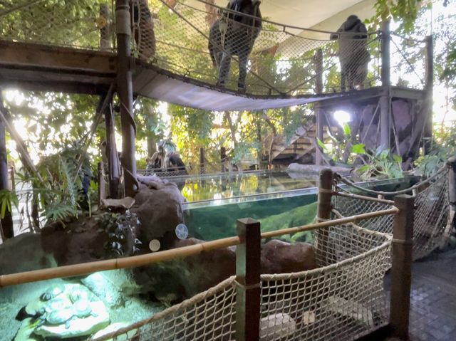 【法國旅遊】適合一家大細嘅水族館(⁎⁍̴̛ᴗ⁍̴̛⁎)