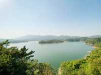 大欖郊野公園