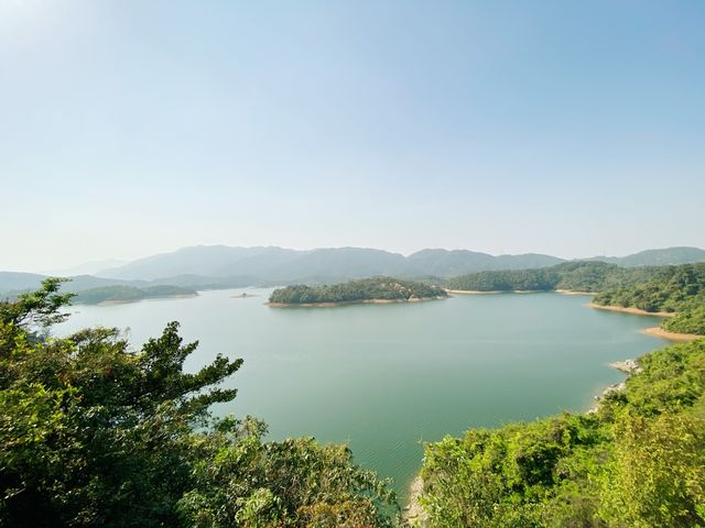大欖郊野公園
