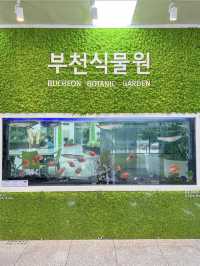 실내 천장을 닿을 듯한 나무가 신기한 수목원🌳