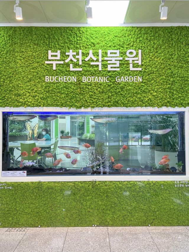 실내 천장을 닿을 듯한 나무가 신기한 수목원🌳