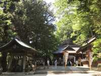 🇯🇵名信片上的風景 — 在新倉山浅間公園看紅塔富士山美景