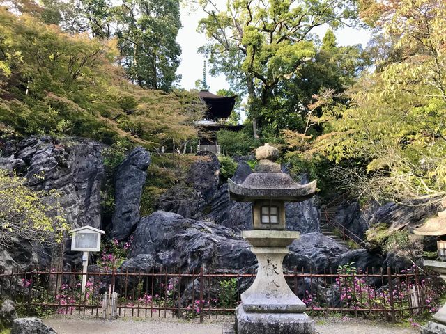 【滋賀】源氏物語の始まりの地！石山寺をご紹介