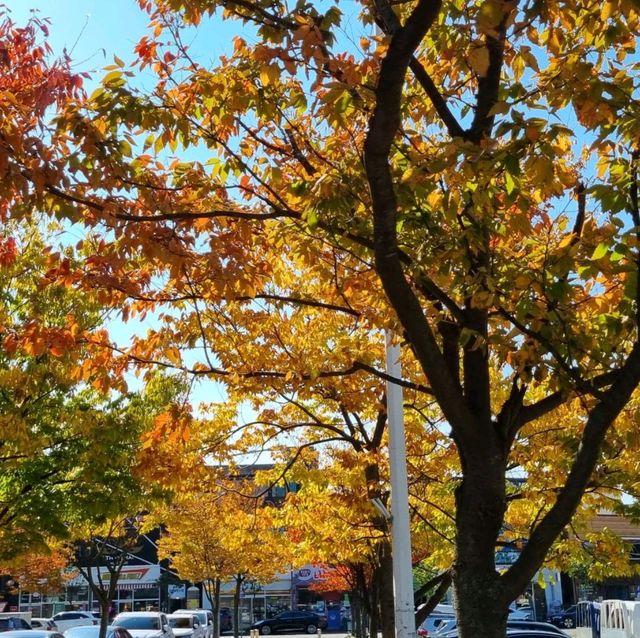 Fall around in Peace Square