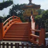 Discover the palace history 