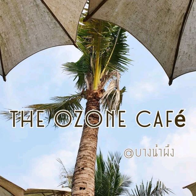 The ozone café @บางน้ำผึ้ง🐈🐾