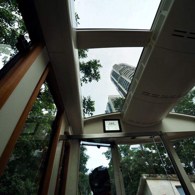 清風送爽太平山
