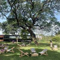 มัลเบอร์รี่ เมลโล่ (Mulberry Mellow)