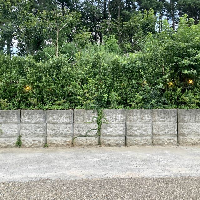 경주 독채펜션, 오릉도원