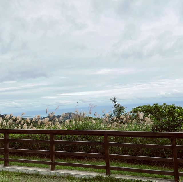 東部公路海岸風景區｜從高處看向一片東海岸的美景