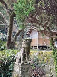【熊本】天草﨑津諏訪神社