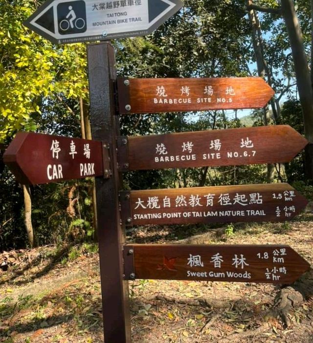 第1站: 大棠楓香林(紅葉篇) 第1站: 大棠楓香林(紅葉篇)