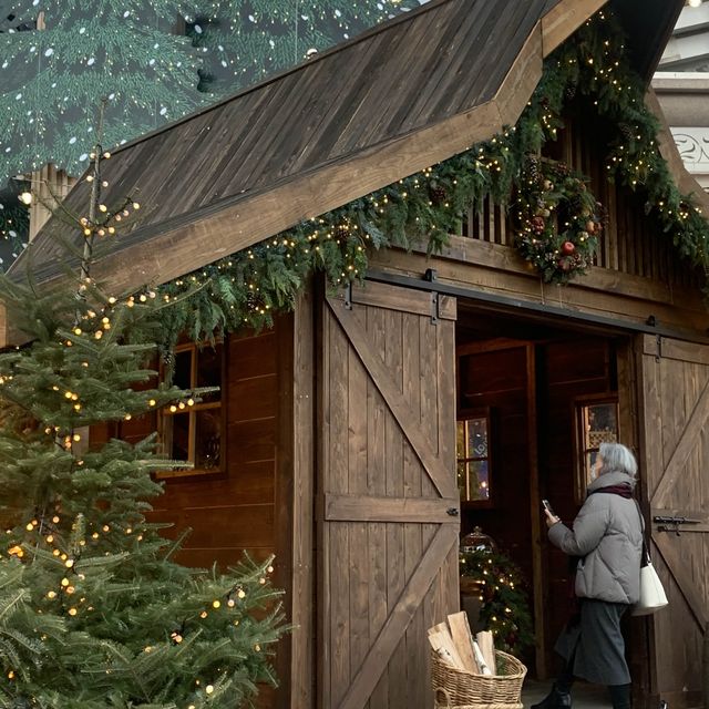 압구정 현대백화점에 찾아온 크리스마스 🎄