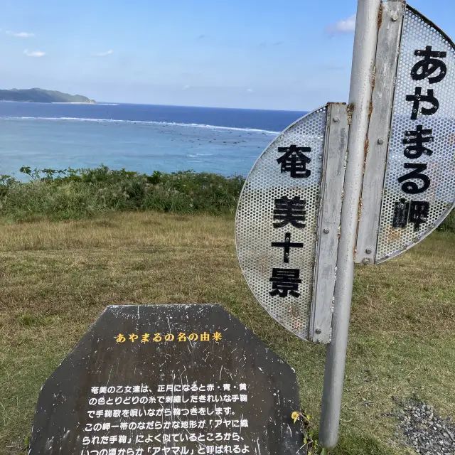 【奄美大島　あやまる岬】展望台からの見晴らし最高！