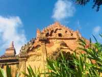 WONDERFUL BAGAN