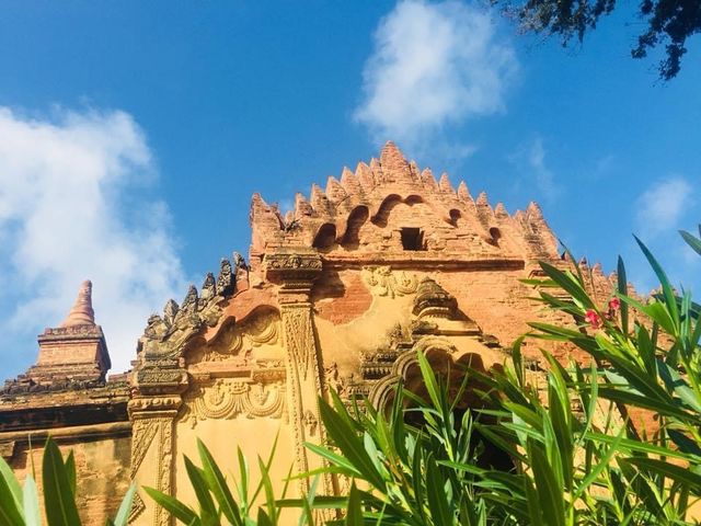 WONDERFUL BAGAN