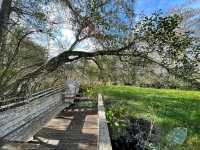 Audubon Corkscrew Swamp Sanctuary