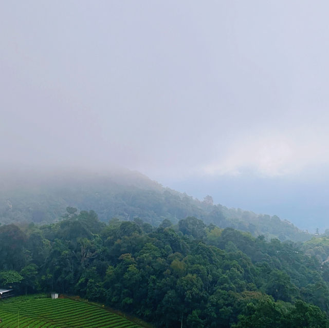 ชีวิตติดเขา 🏕