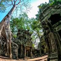 ANGKOR WAT