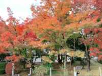 京都[紅葉めぐり]  永観堂(禅林寺)  圧巻の堂内編