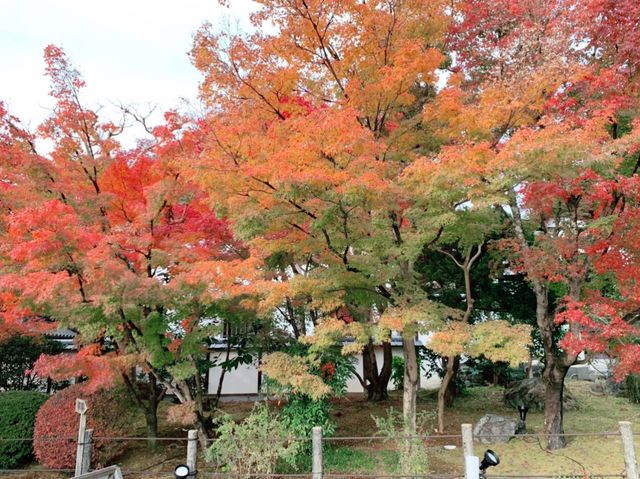 京都[紅葉めぐり]  永観堂(禅林寺)  圧巻の堂内編