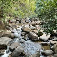เดินป่า ศึกษาธรรมชาติ ที่น้ำตกพลิ้ว
