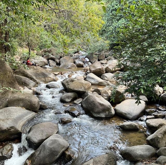 เดินป่า ศึกษาธรรมชาติ ที่น้ำตกพลิ้ว
