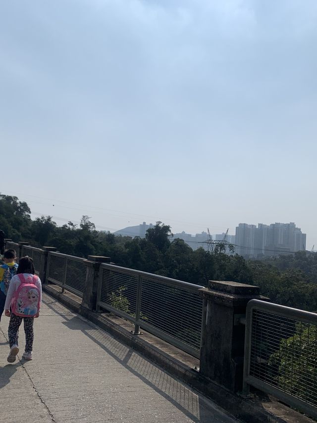 香港仔水塘：新手路線 香港南區🎏