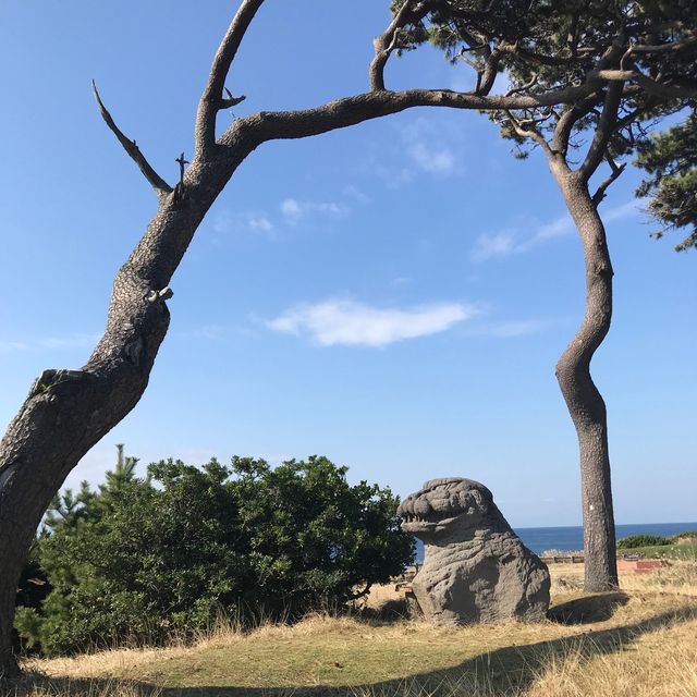 【東京】伊豆大島・野田浜からみる海は絶景！！
