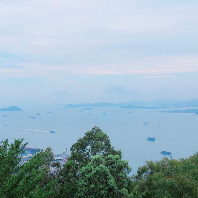 懶人新手行山路線💪🏻青衣自然徑