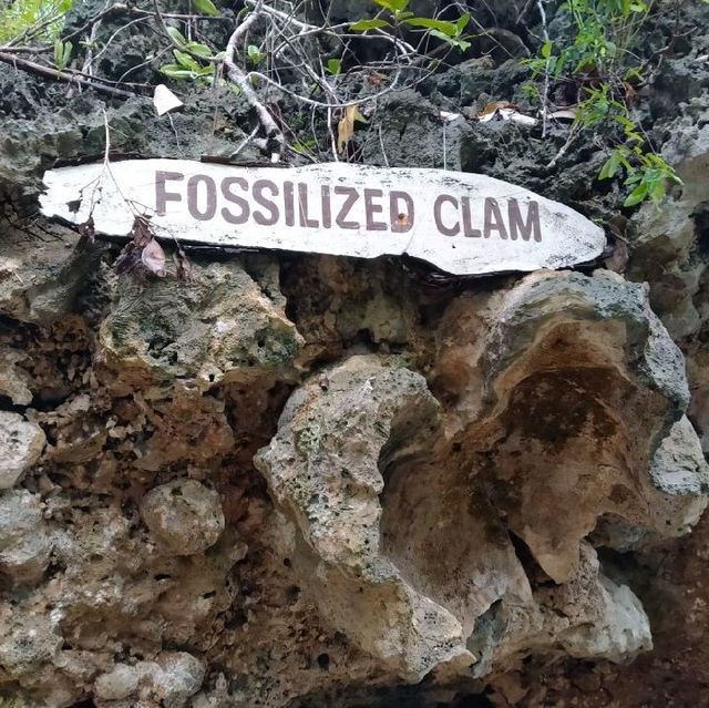 LAMANOK ISLAND, BOHOL, PHILIPPINES