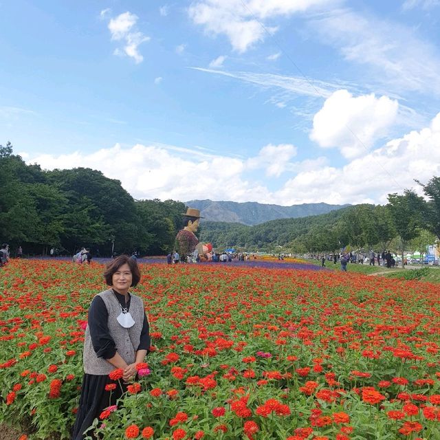 경남 함양 산삼축제에서 여러꽃과 연꽃구경