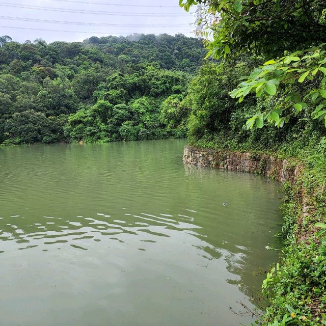 金山九龍水塘