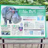【神戸】神戸の動物園といえばここ❣️神戸市立王子動物園🐼