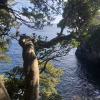 【城ヶ先海岸】伊豆らしい溶岩地形！