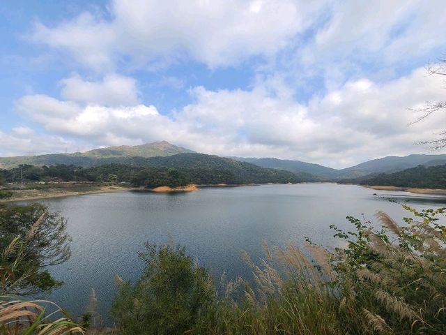 傳說中的第四尖~針山⛰️