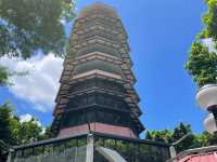置身於大自然@《百鳥塔》