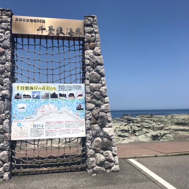 【青森県】世界遺産・白神山地の神秘の池で森林浴！