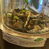 將軍澳中心