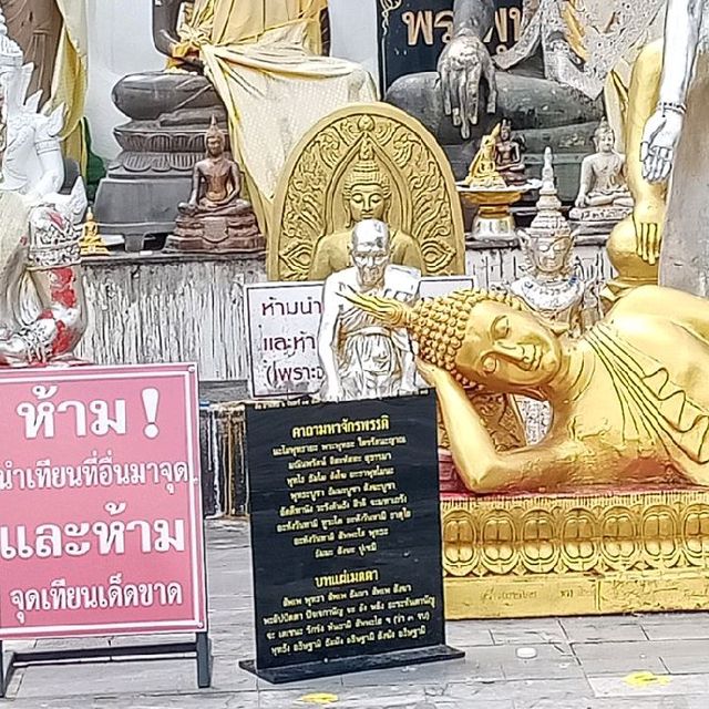 วัดพระธาตุดอยคำ วัดแห่งดอกมะลิ