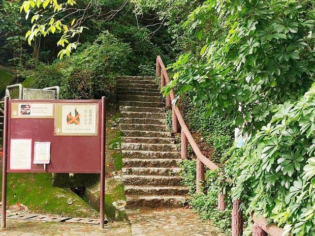 大美督郊遊好去處