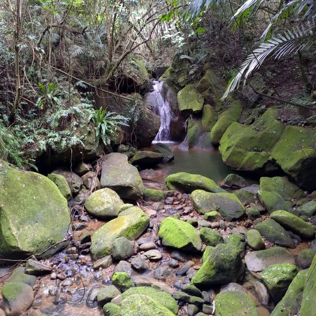 內湖大溝溪親水步道