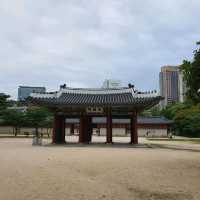 고궁 피크닉 ⛩️ 1000원으로 즐기는 덕수궁 소풍~