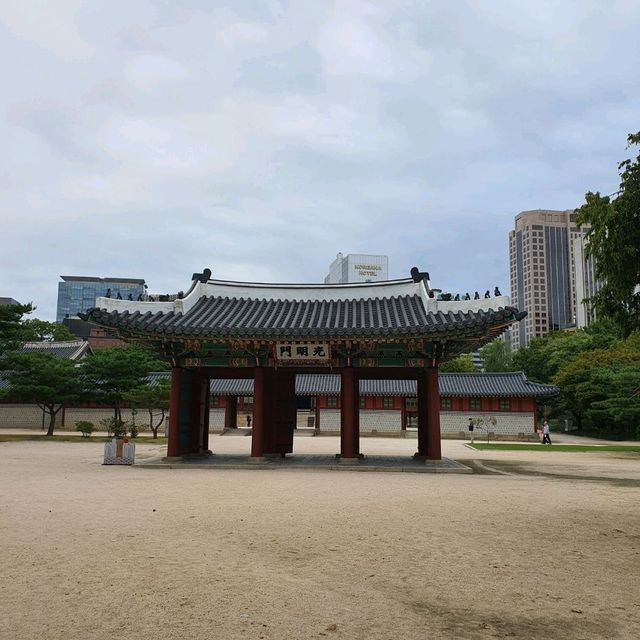 고궁 피크닉 ⛩️ 1000원으로 즐기는 덕수궁 소풍~