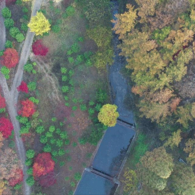 Recreational Forest in Nonsan