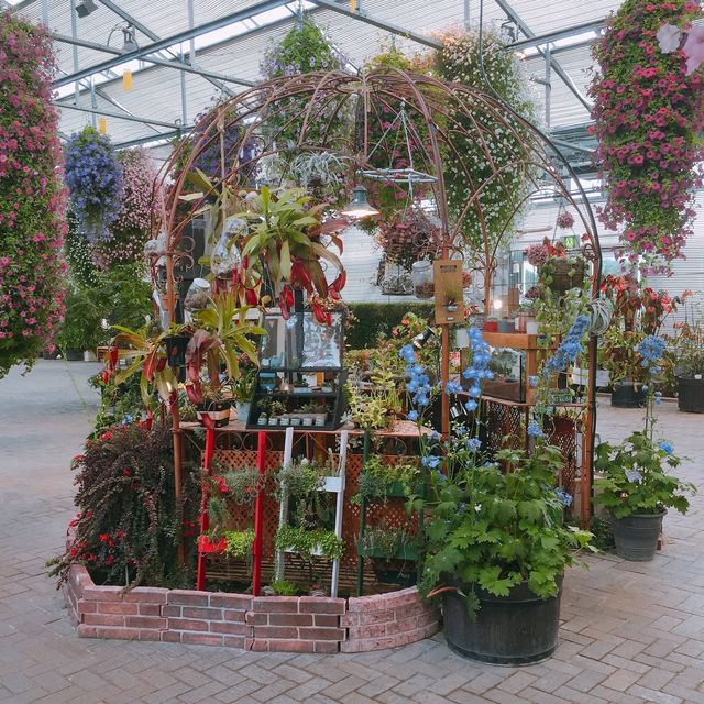 【日本 三重】日本最大規模花海 🌹🌷🌺🌸🌼