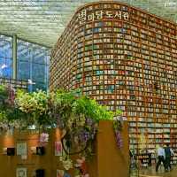 Cool Relaxing Starfield Library 