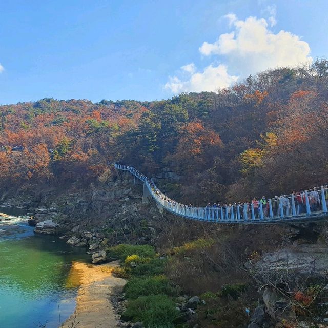 단풍구경 핫플레이스! 새롭게 오픈한 주상절리길