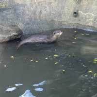 台北市立木柵動物園 讚讚
